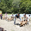 大感動！伐採体験ツアー2