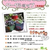 多肉植物の寄せ植えワークショップ1