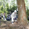 大感動！伐採体験ツアー1